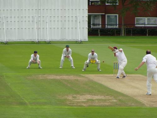 Alex Cook batting.